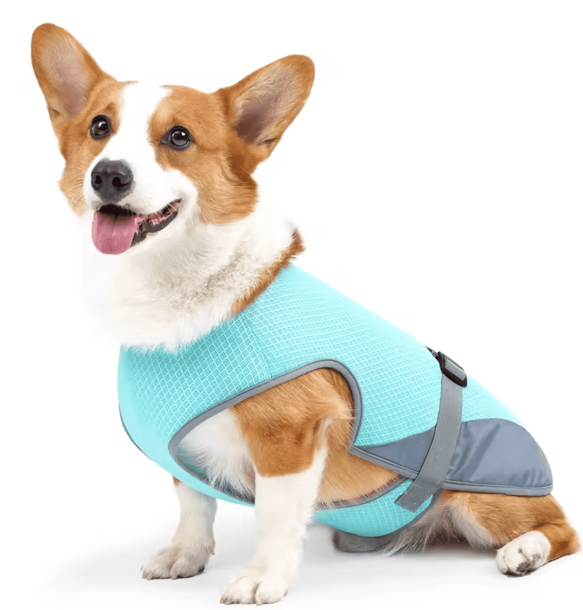 Gilet rafraîchissant pour chien