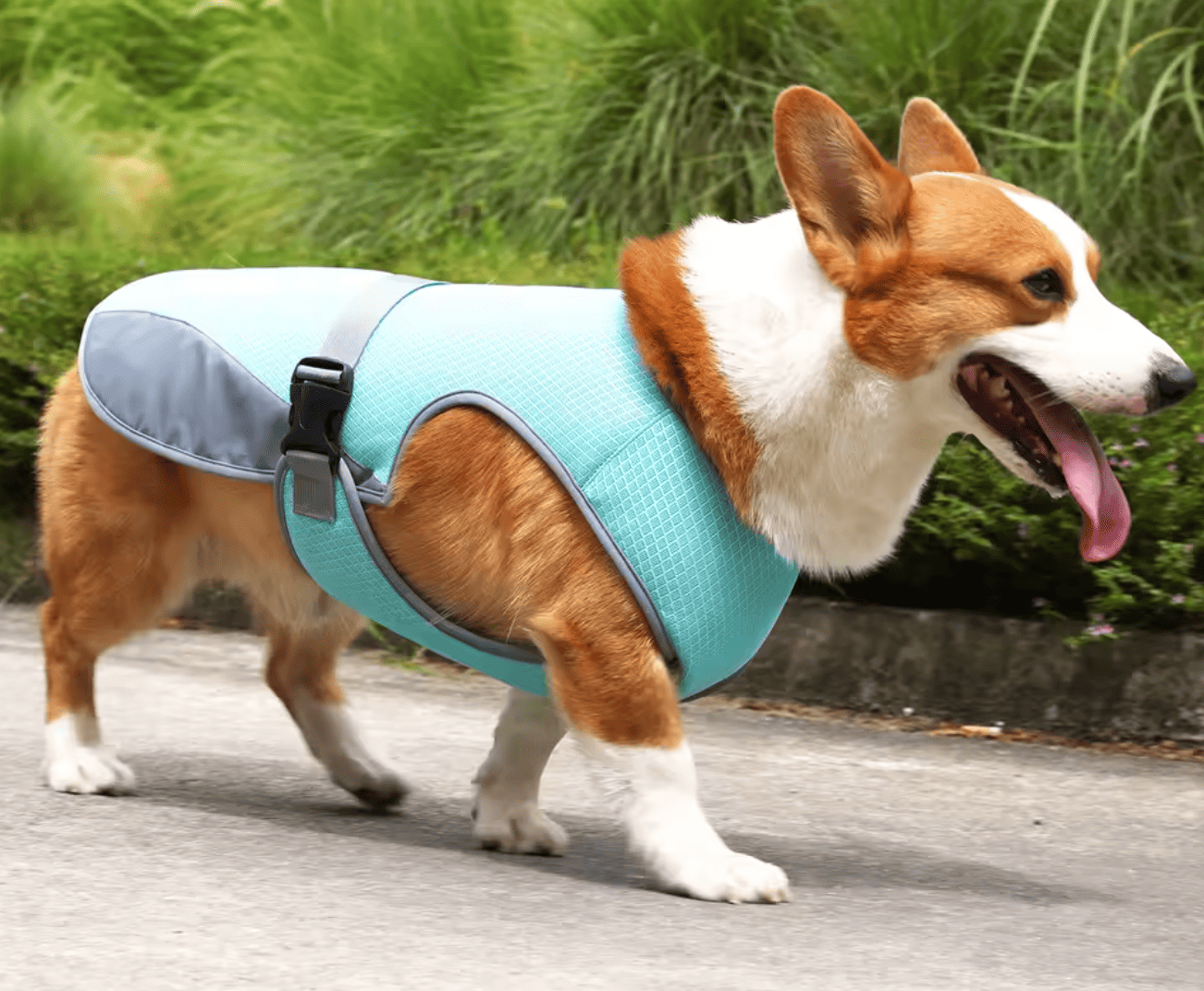 Gilet rafraîchissant pour chien