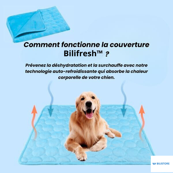 Tapis rafraîchissant - Bilifresh™