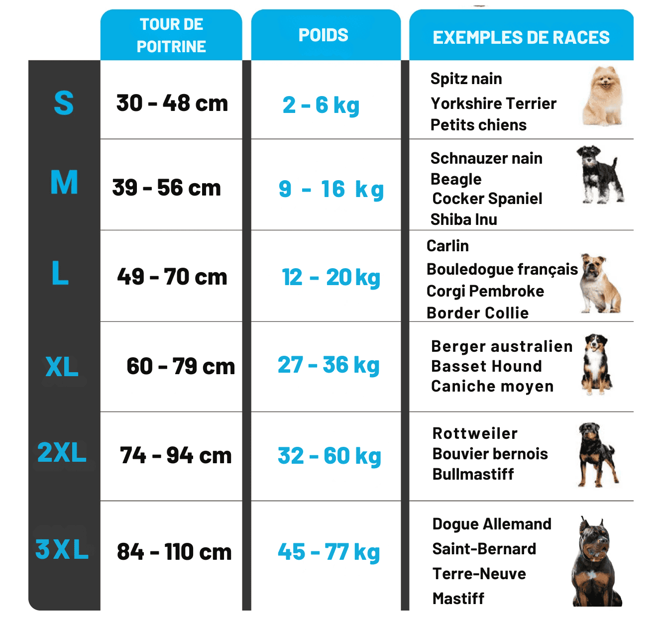Gilet rafraîchissant pour chien