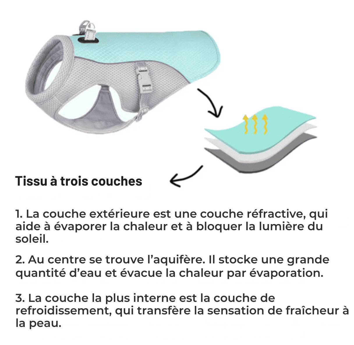 Gilet rafraîchissant pour chien