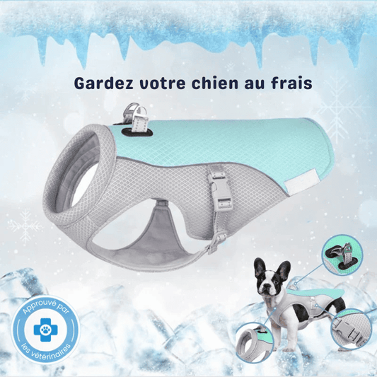 Gilet rafraîchissant pour chien