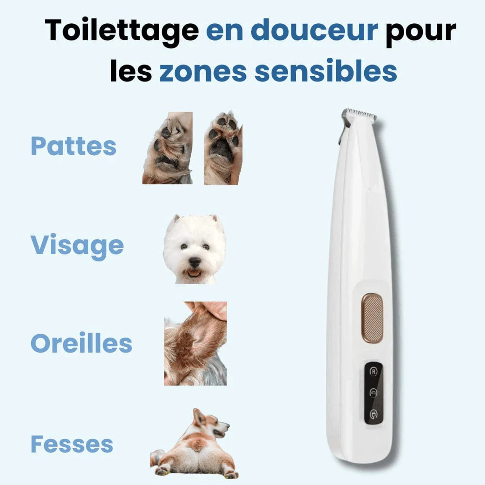 Tondeuse pour pattes de chien