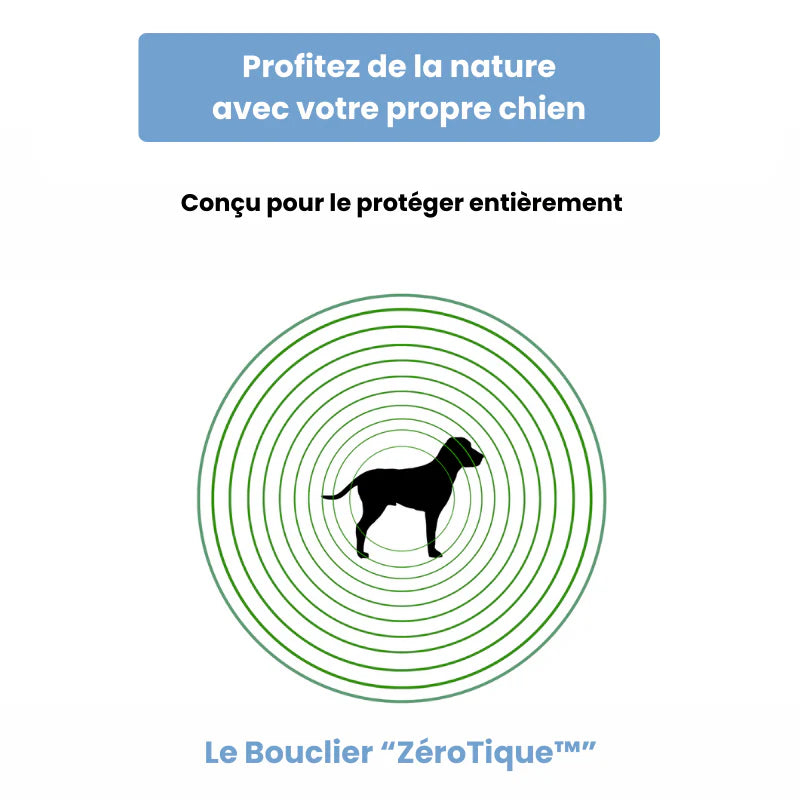 Protection anti-tique - Bilitique™