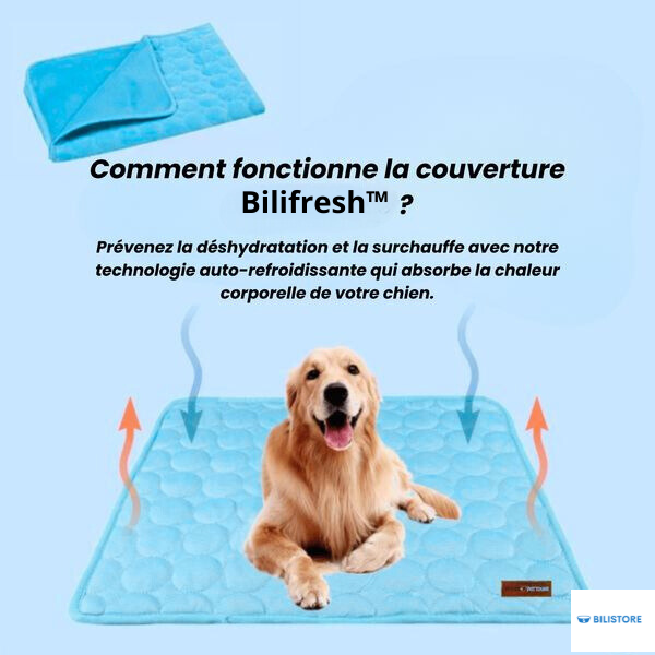 Tapis rafraîchissant - Bilifresh™