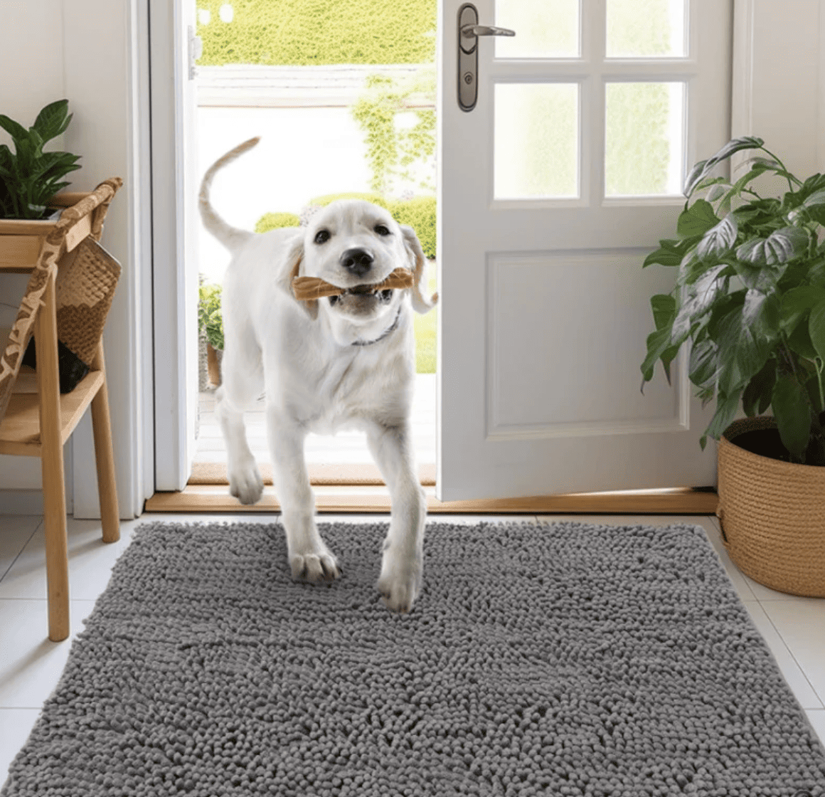 Tapis absorbant - BiliPaw™