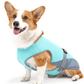 Gilet rafraîchissant pour chien
