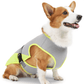 Gilet rafraîchissant pour chien