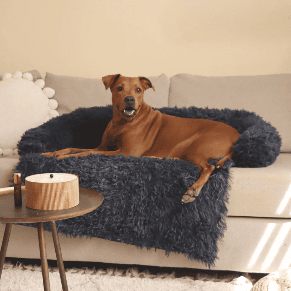 Protège-canapé apaisant pour chiens