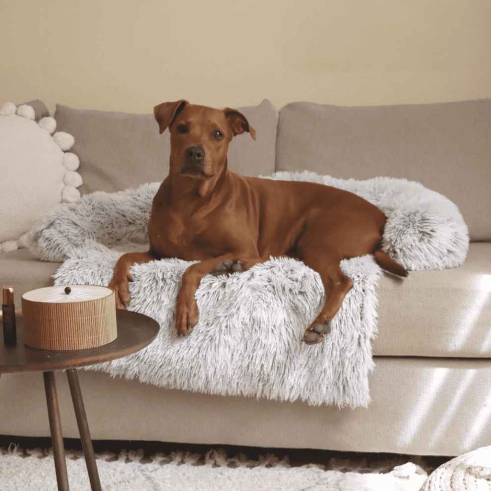 Protège-canapé apaisant pour chiens