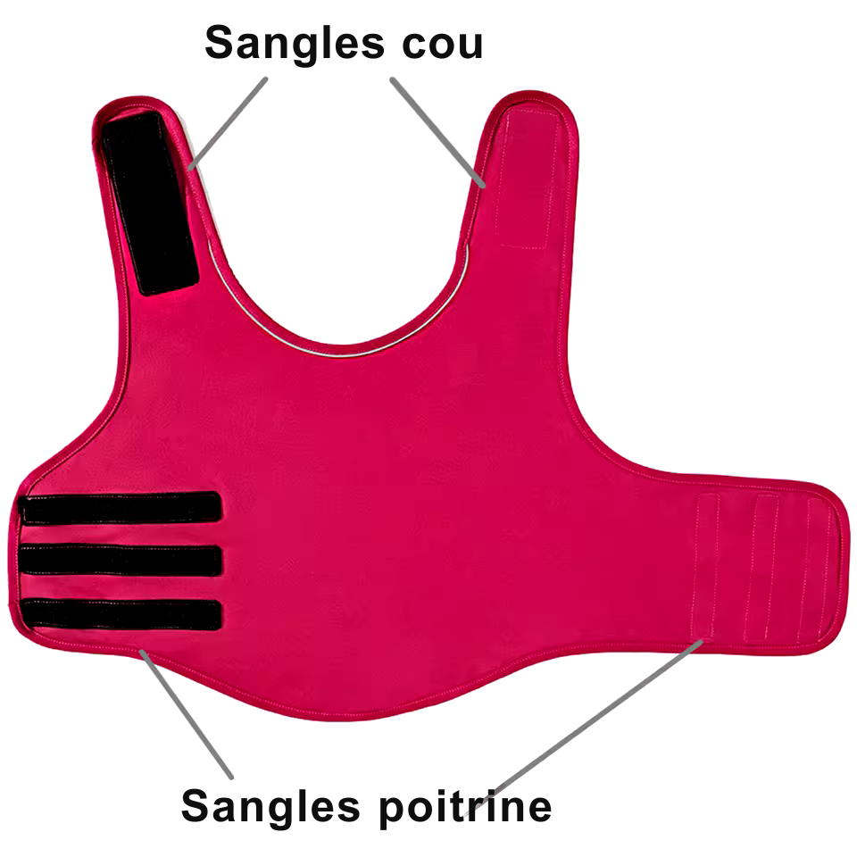 Gilet Relaxant pour chien