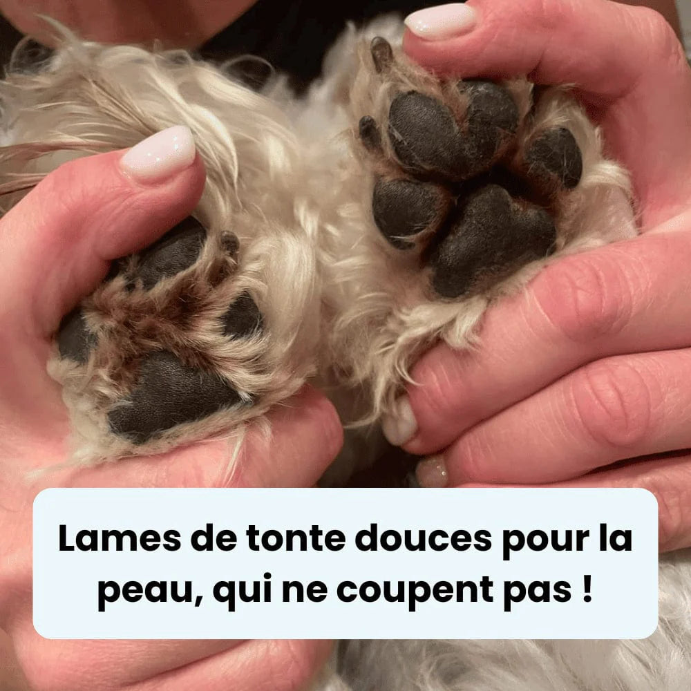 Tondeuse pour pattes de chien