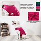 Gilet Relaxant pour chien